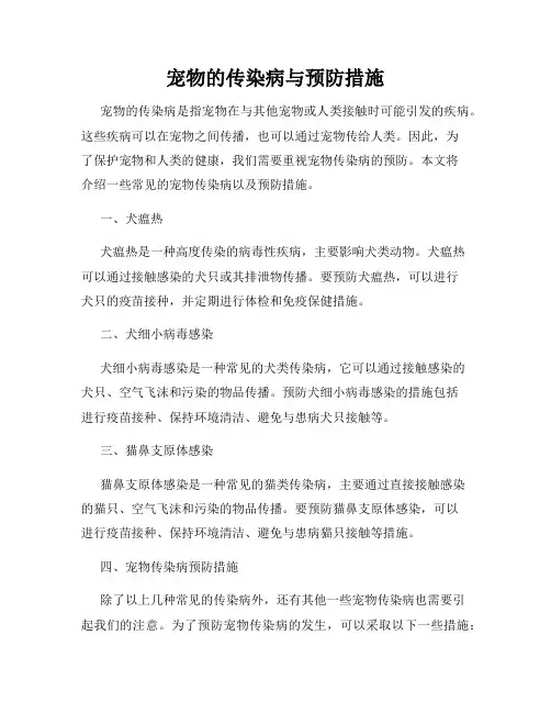 宠物的传染病与预防措施