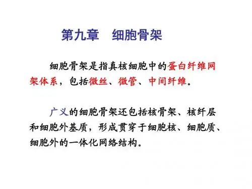 细胞生物学_12细胞骨架
