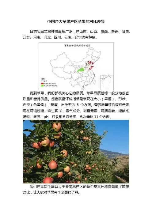 中国各大苹果产区苹果的对比差异