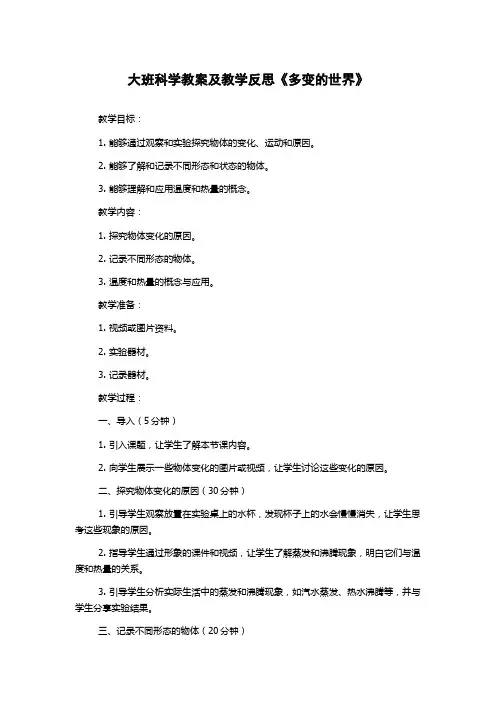 大班科学教案及教学反思《多变的世界》