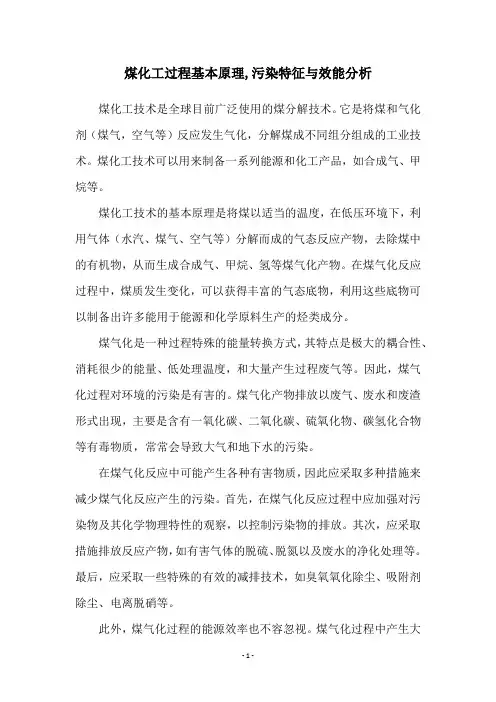 煤化工过程基本原理,污染特征与效能分析