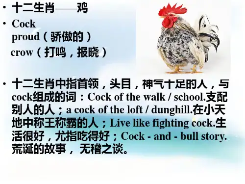 十二生肖英文介绍