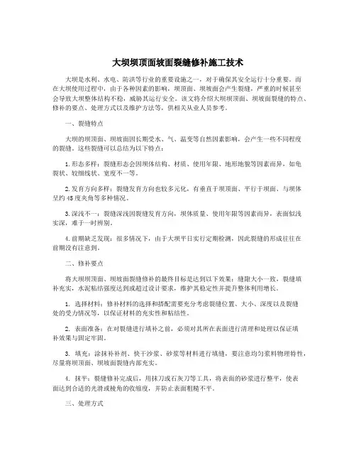 大坝坝顶面坡面裂缝修补施工技术