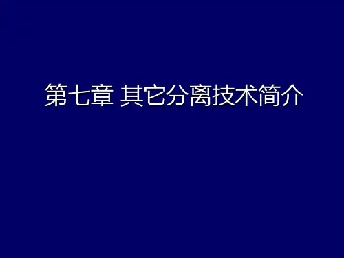 7.1泡沫吸附