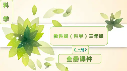 教科版三年级科学上册全册课件【完整版】
