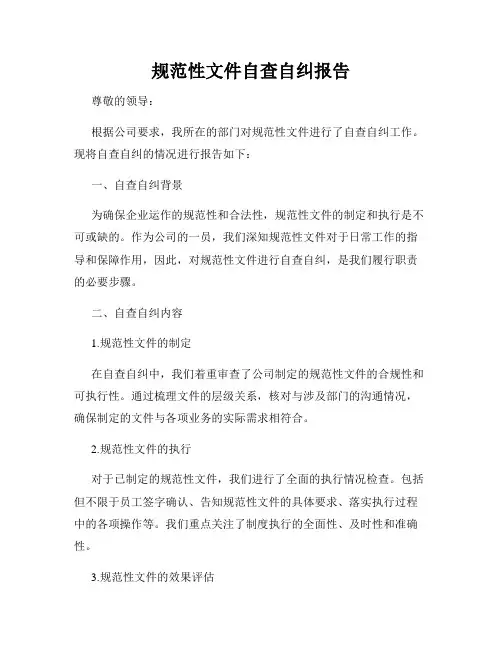 规范性文件自查自纠报告