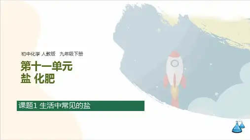 第十一单元 课题1 生活中常见的盐 知识归纳(含思维导图)课件 初中化学人教版九年级下册