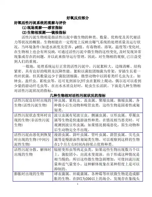 污水生物镜检各种小虫