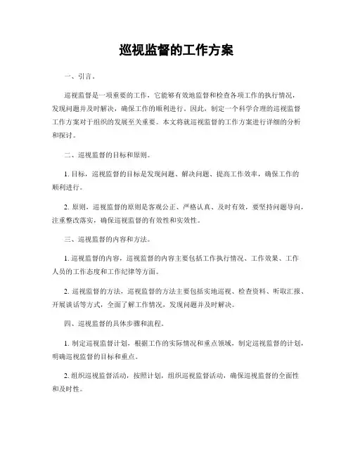 巡视监督的工作方案