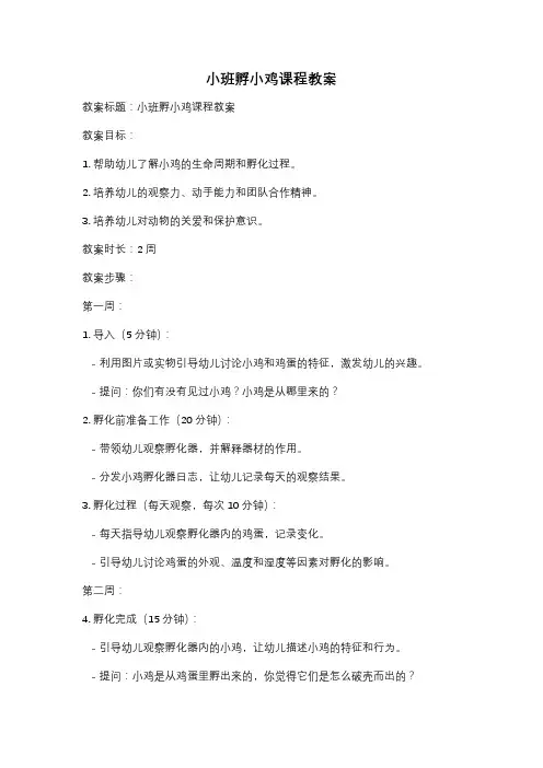 小班孵小鸡课程教案