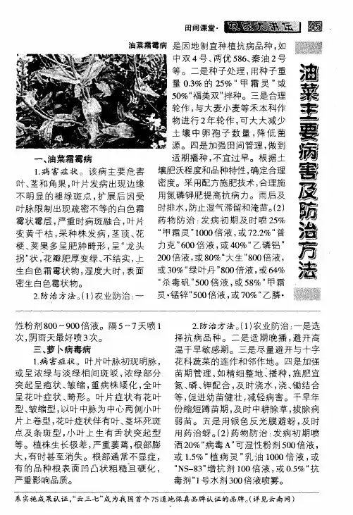 油菜主要病害及防治方法