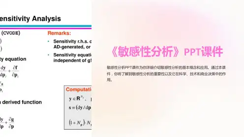《敏感性分析》课件