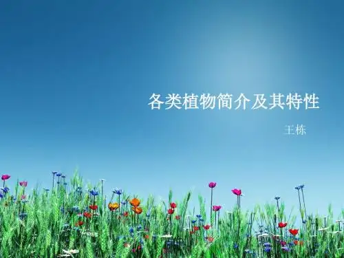 各类植物简介及其特性解读
