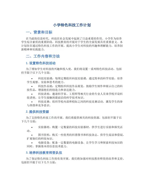 小学特色科技工作计划
