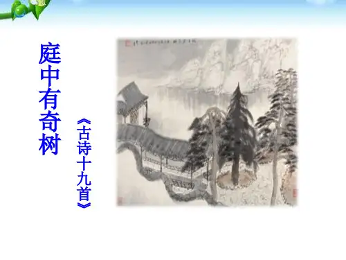 《庭中有奇树》PPT课件优秀课件