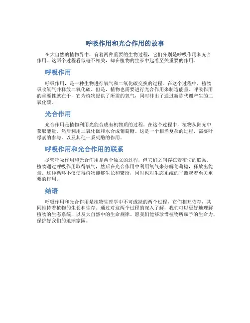 呼吸作用和光合作用的故事