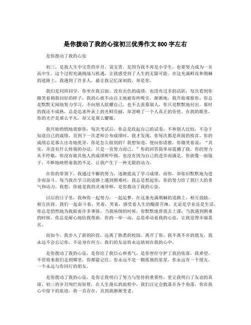 是你拨动了我的心弦初三优秀作文800字左右
