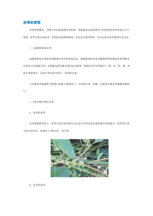 杂草的类型