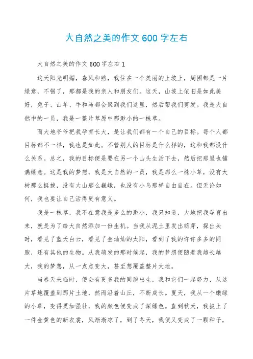 大自然之美的作文600字左右