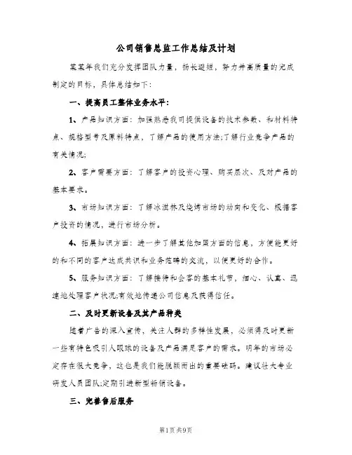 公司销售总监工作总结及计划（3篇）
