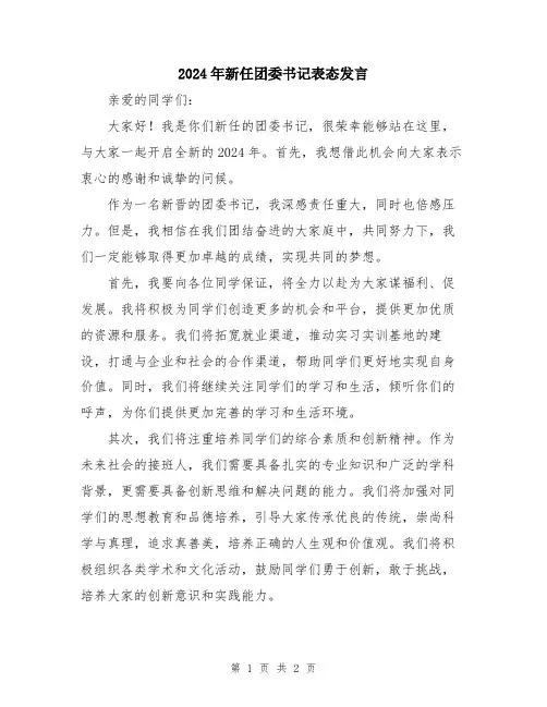 2024年新任团委书记表态发言