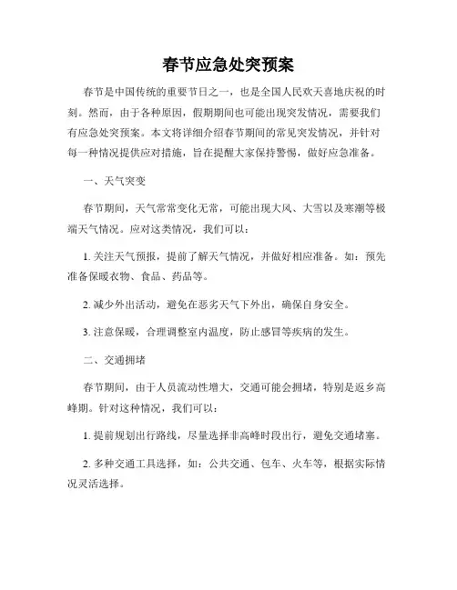春节应急处突预案