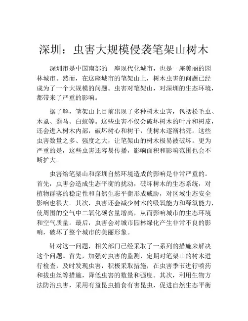 深圳：虫害大规模侵袭笔架山树木