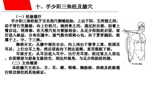 手少阳三焦经及腧穴
