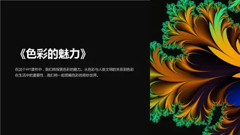 《色彩的魅力》课件