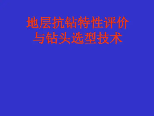 第4章1：地层评价及钻头选型