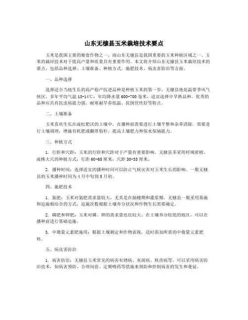 山东无棣县玉米栽培技术要点