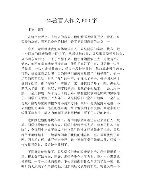 体验盲人作文600字