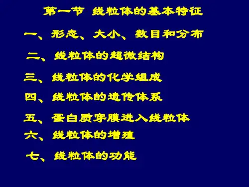 线粒体的基本特征