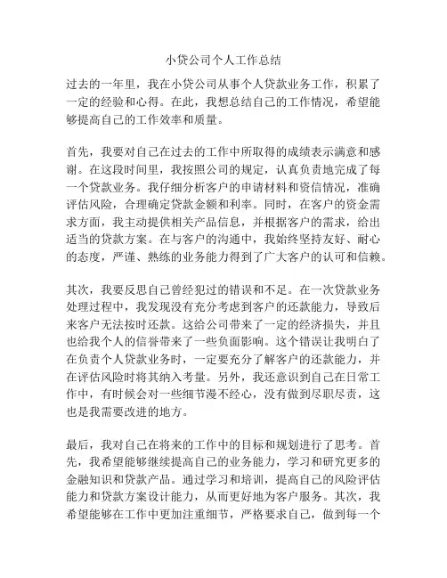 小贷公司个人工作总结