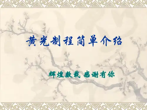 触摸屏生产工艺核心技术之黄光工艺