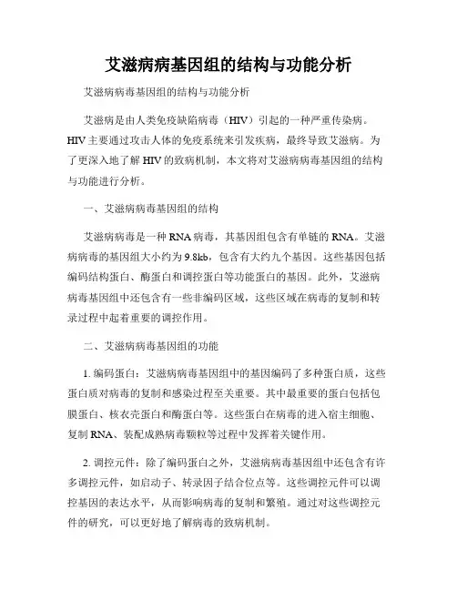 艾滋病病基因组的结构与功能分析