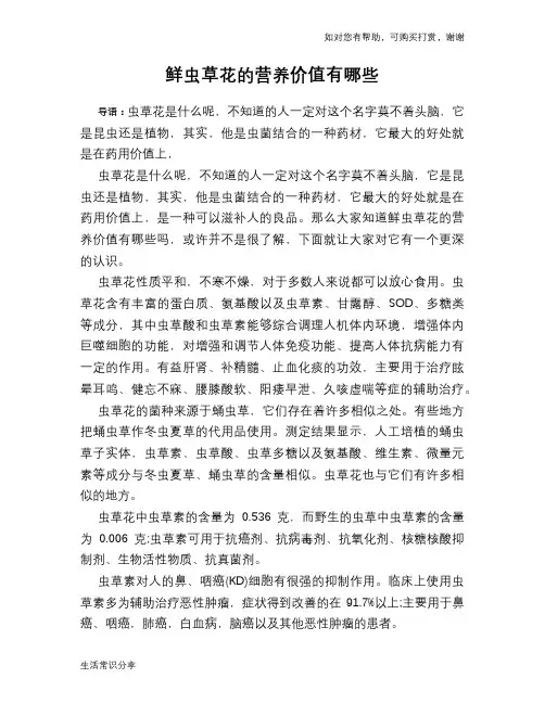 鲜虫草花的营养价值有哪些
