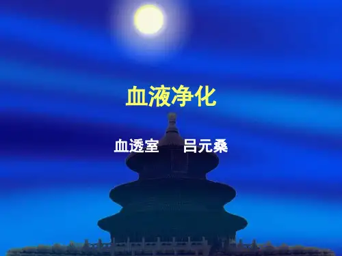 血液净化