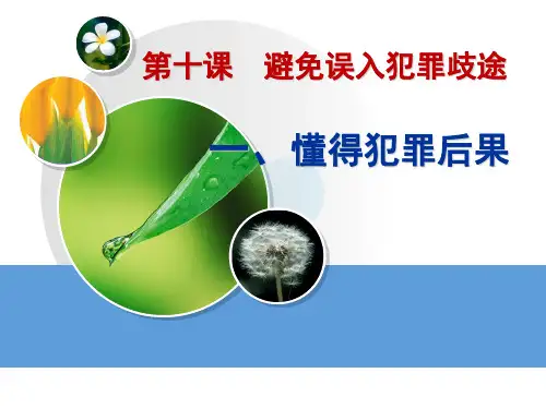 职业道德与法律第十课避免误入犯罪歧途
