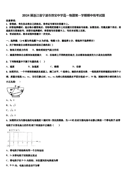 2024届浙江省宁波市效实中学高一物理第一学期期中统考试题含解析