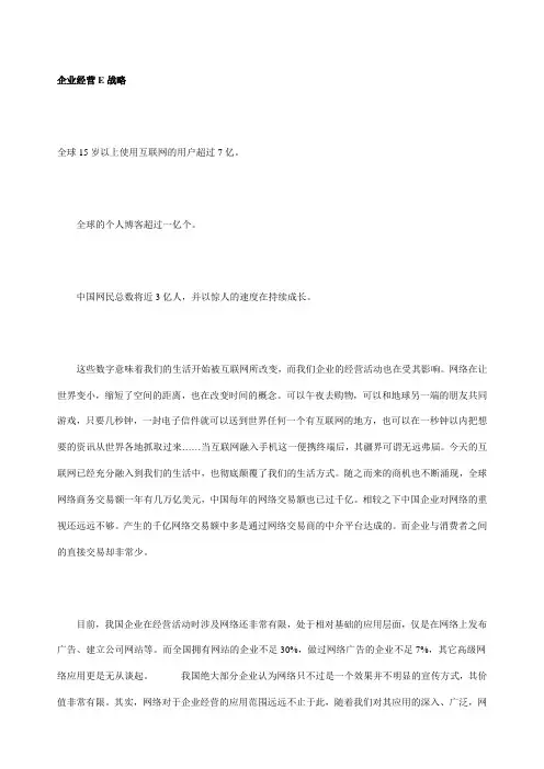 企业经营E战略方案