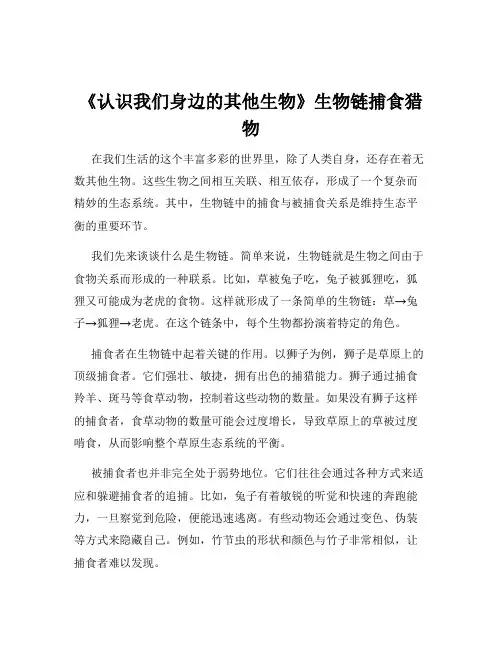 《认识我们身边的其他生物》生物链捕食猎物