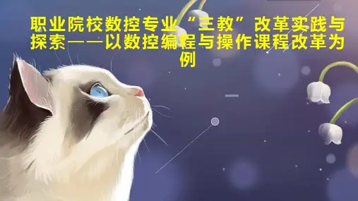 职业院校数控专业“三教”改革实践与探索以数控编程与操作课程改革为例