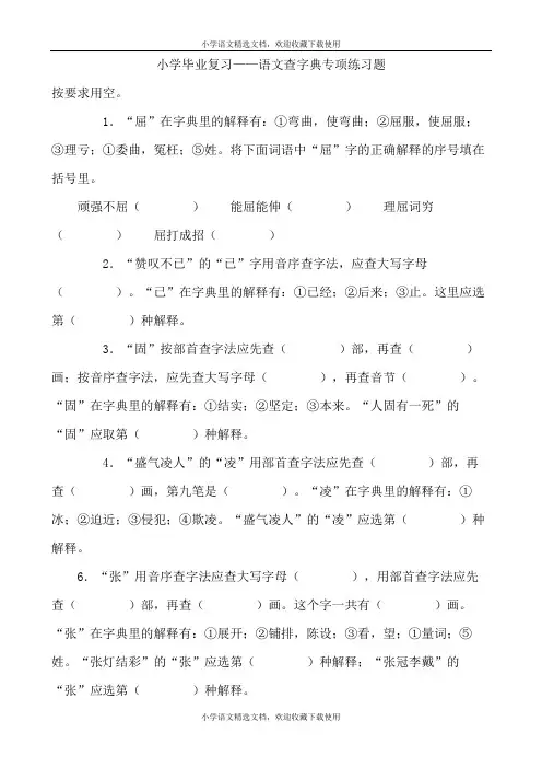 小学毕业复习——语文查字典专项练习题