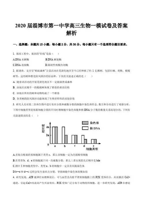 2020届淄博市第一中学高三生物一模试卷及答案解析
