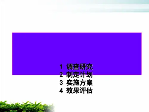 公共关系计划的实施与评估模版(PPT55张)
