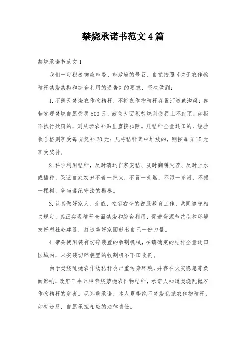 禁烧承诺书范文4篇