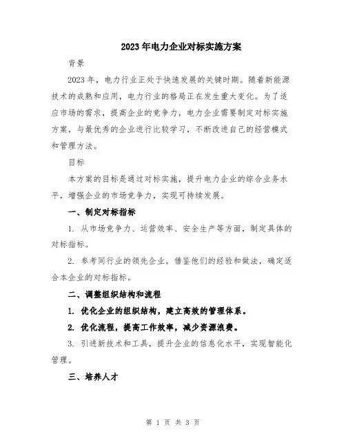2023年电力企业对标实施方案