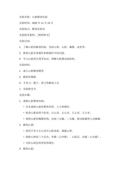 解剖课心脏实验报告