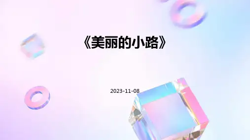 《美丽的小路》